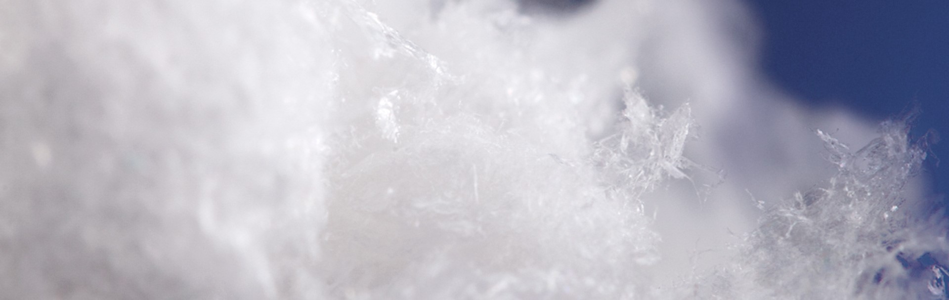 EPS L'incroyable découverte des sucres marins Phytomer