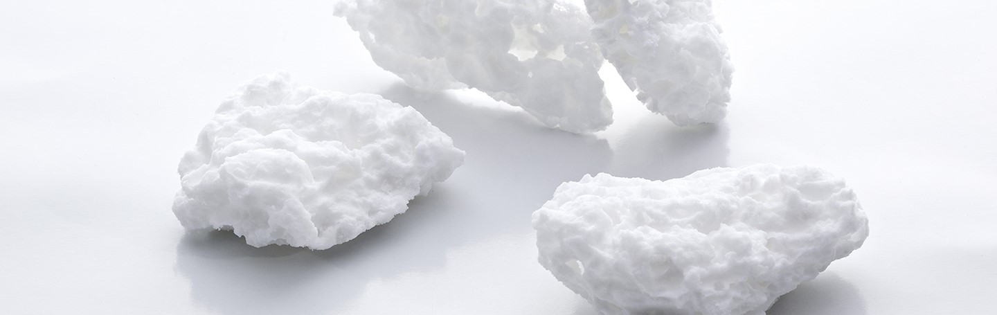 OLIGOMER® Un actif iconique, Une exclusivité mondiale Phytomer