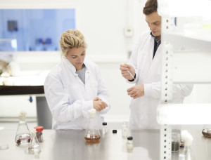 Découverte cultures d'algues