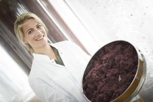 Récolte de la Jania par Servane Escoffier, ambassadrice PHYTOMER