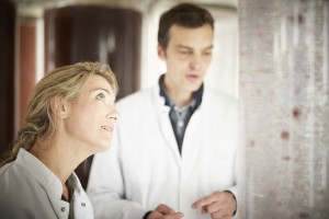 Culture de la Jania en Laboratoire