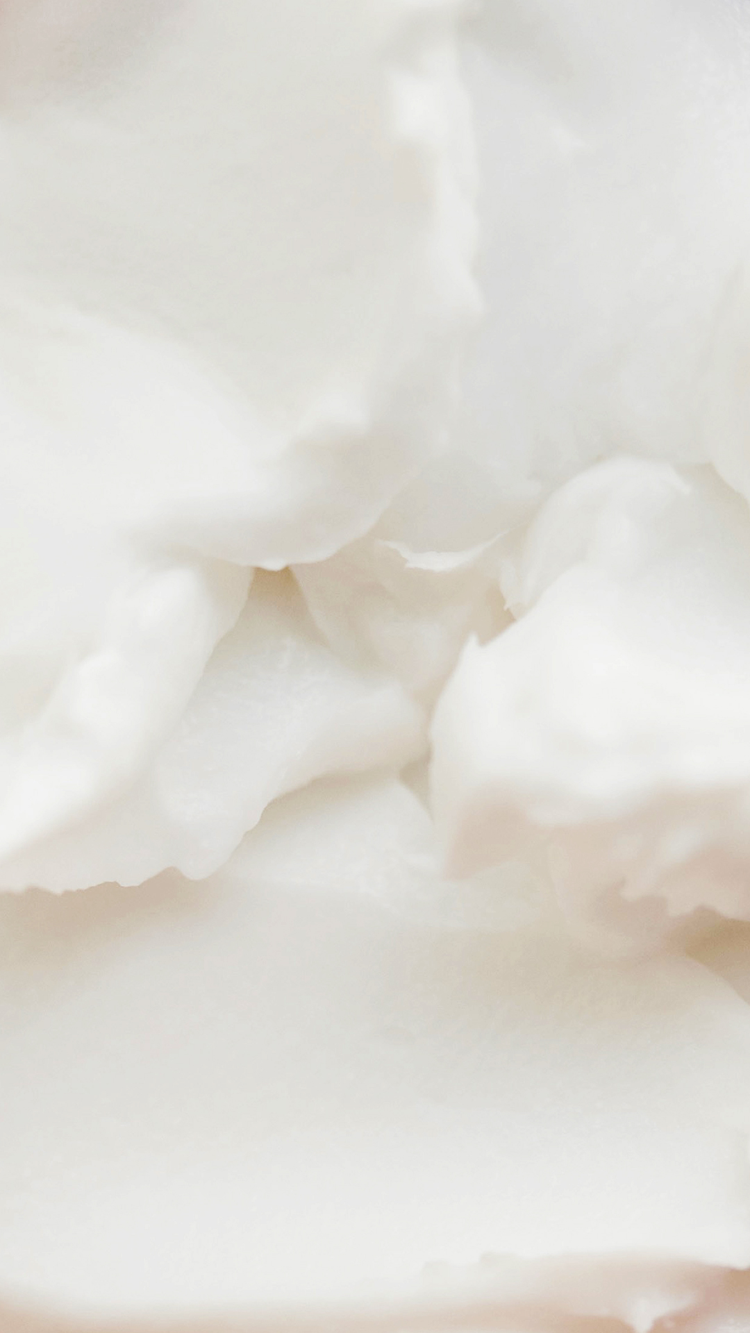 Phytomer Influenceuses